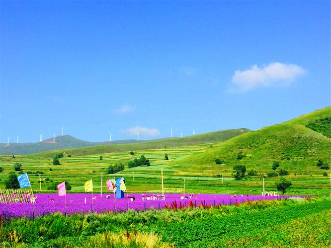 张家口坝上草原介绍_张家口坝上草原介绍图片