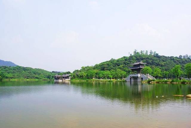 东莞旅游景区哪里好玩_东莞旅游景区哪里好玩可以露营的