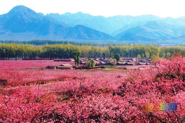 平谷桃花节是几月几日_平谷桃花节是几月几号